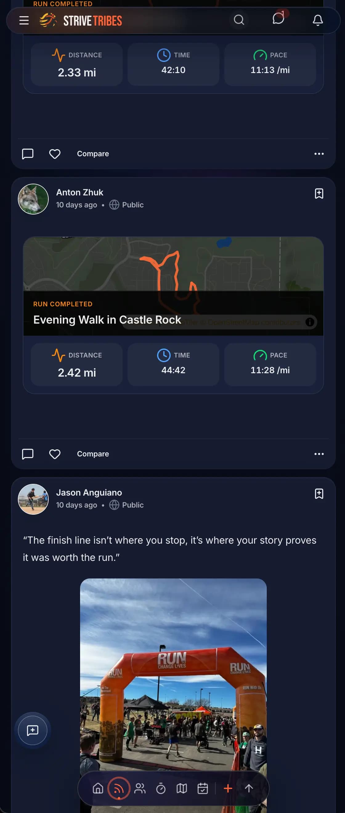 StriveTribes social feed showing recent runs from your tribe